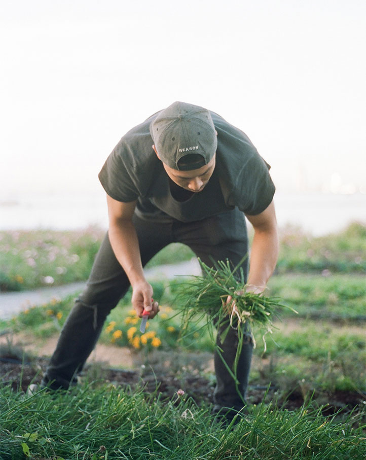 Bonbite NYC Co-Founder Winston Chiu farming chives at the Brooklyn Grange in the Brooklyn Navy Yard