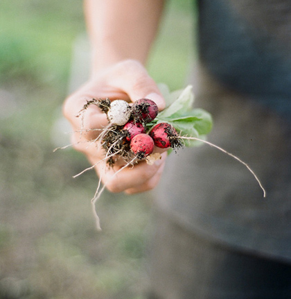 Winston Chiu holding radishes picked from the Brooklyn Grange at the Brooklyn Navy Yard