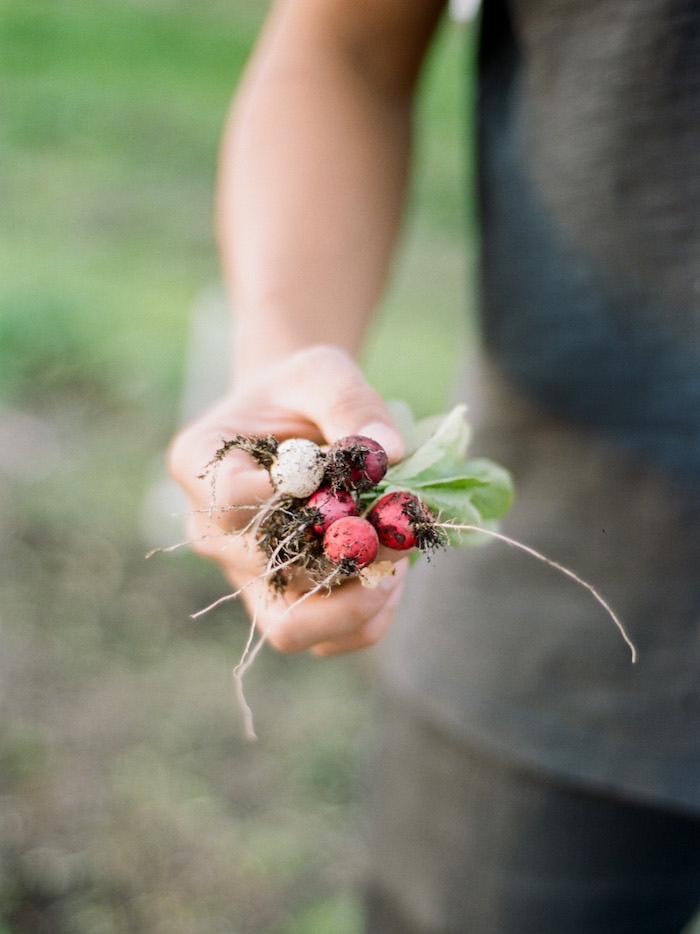 Winston Chiu holding radishes picked from the Brooklyn Grange at the Brooklyn Navy Yard