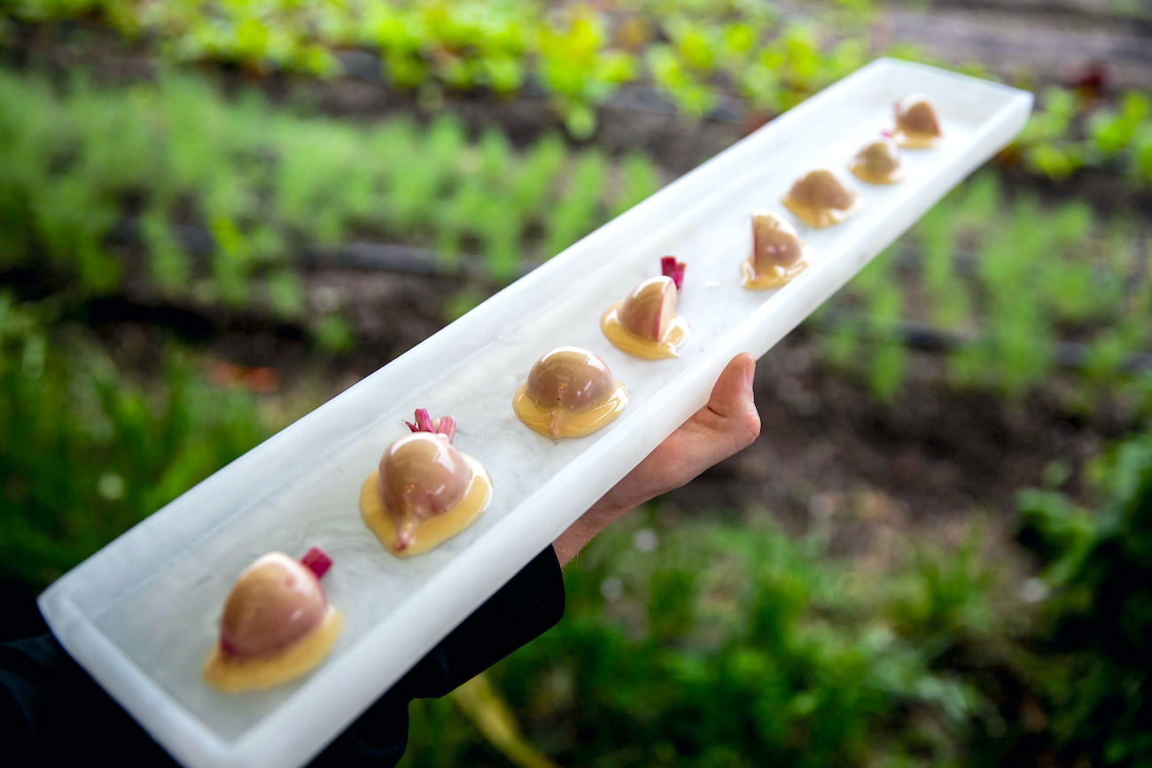 Bonbite catering server holding a tray of brown butter dipped hakurei turnip with sea salt at the Brooklyn Grange